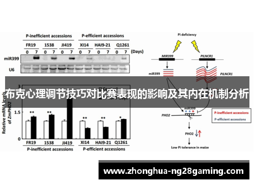 布克心理调节技巧对比赛表现的影响及其内在机制分析 布克心理调节技巧对比赛表现的影响及其内在机制分析