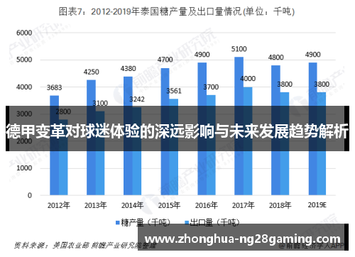 德甲变革对球迷体验的深远影响与未来发展趋势解析