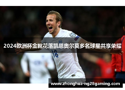2024欧洲杯金靴花落凯恩奥尔莫多名球星共享荣耀