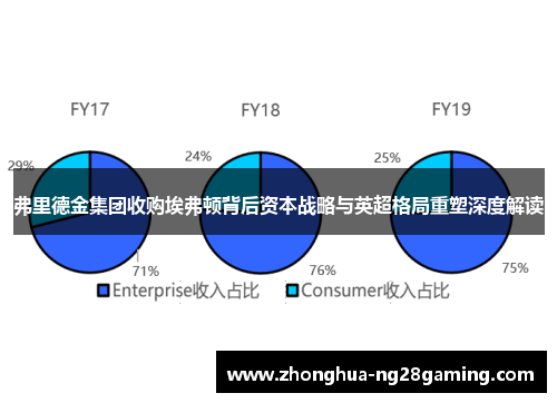 弗里德金集团收购埃弗顿背后资本战略与英超格局重塑深度解读 弗里德金集团收购埃弗顿背后资本战略与英超格局重塑深度解读