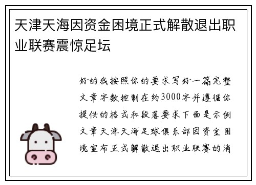 天津天海因资金困境正式解散退出职业联赛震惊足坛