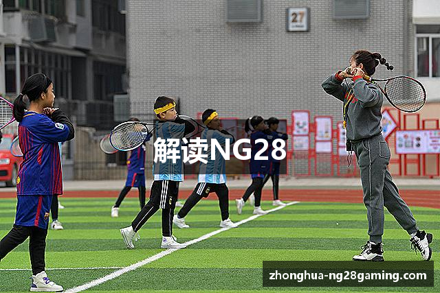 解读NG28